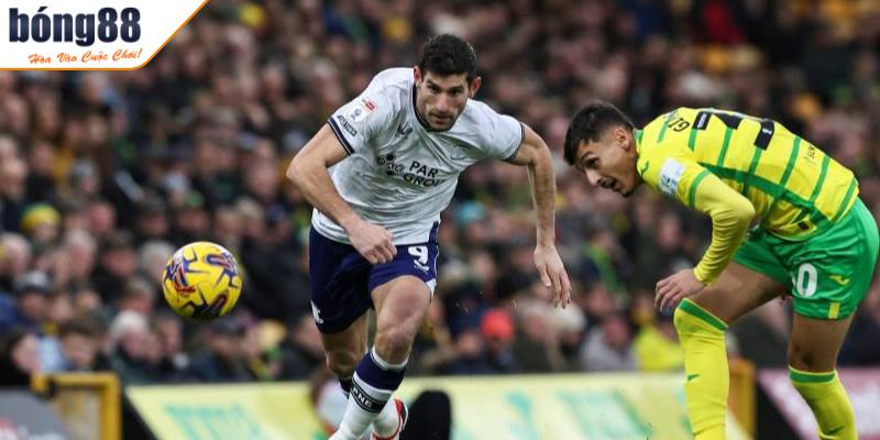 Nhận định trước soi kèo Norwich vs Preston hôm nay