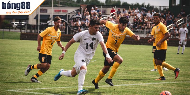 Cá Cược Bóng Đá BONG88 - Tìm Hiểu Loại Kèo Hấp Dẫn Dễ Thắng 3 Sử dụng thông tin chính xác