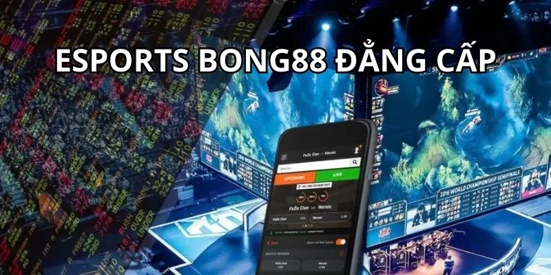 Esport BONG88 – 05 Lựa Chọn Kèo Thể Thao Điện Tử Hấp Dẫn 3 Năm lựa chọn kèo trong thể thao điện tử cá cược