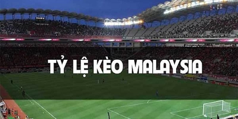 Tỷ lệ kèo Malaysia: Cách tính tiền kèo và đặt cược hiệu quả 1 Tỷ lệ kèo Malaysia, hình thức cá cược bóng đá online