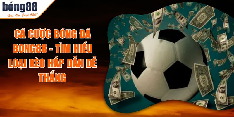 Cá Cược Bóng Đá BONG88 - Tìm Hiểu Loại Kèo Hấp Dẫn Dễ Thắng 3 Cá Cược Bóng Đá BONG88 - Tìm Hiểu Loại Kèo Hấp Dẫn Dễ Thắng